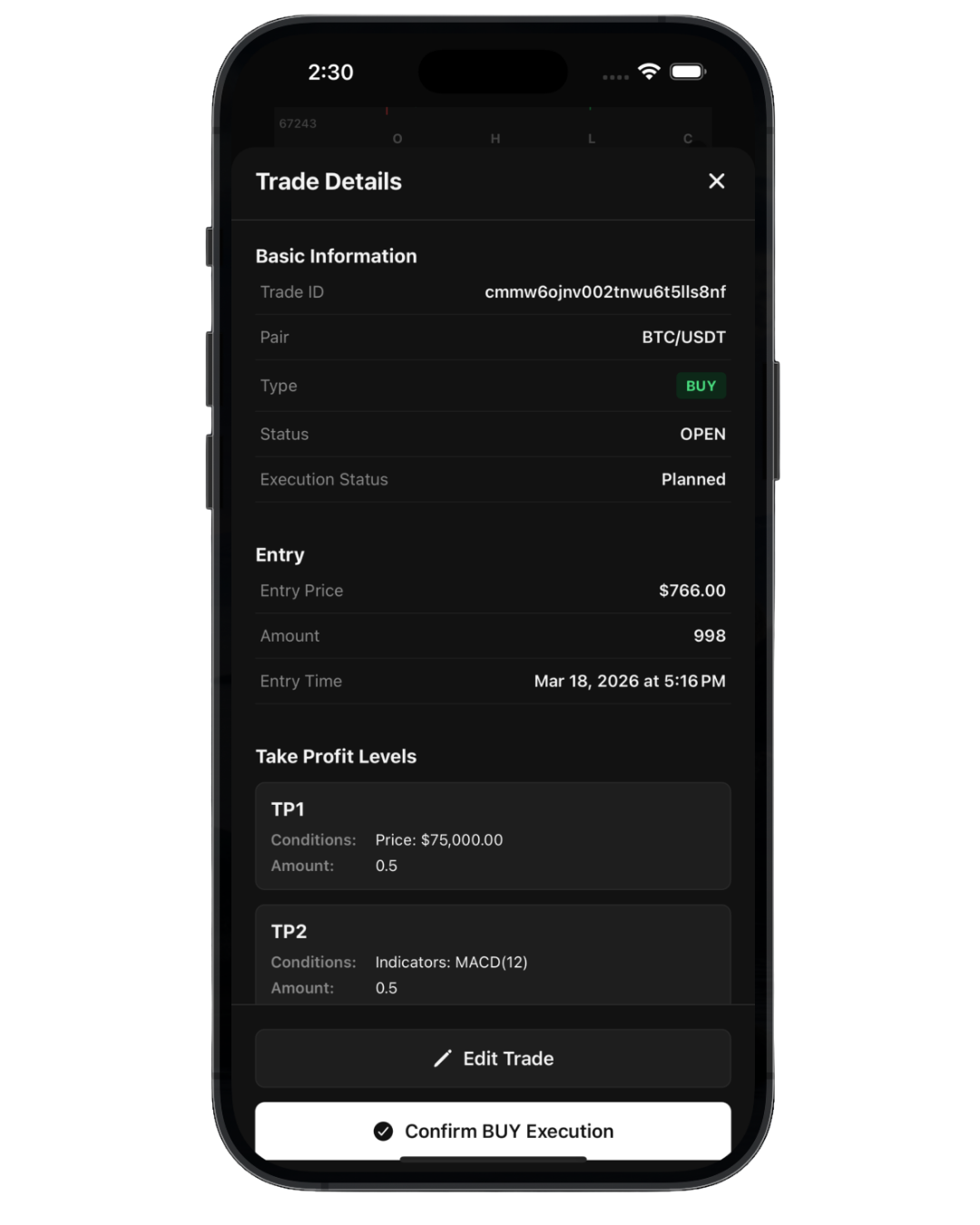 Trade details - plan, execution, and market context